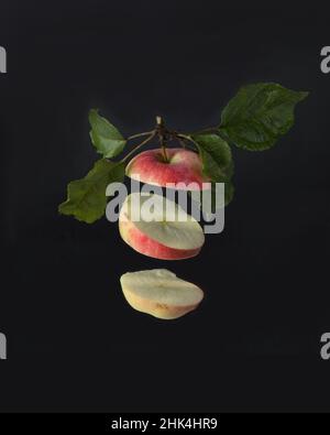 A sliced apple flies on a black background. Still life with fruit Stock Photo