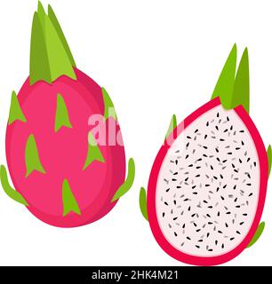 Dragon fruit, whole and half, vector illustration Stock Vector