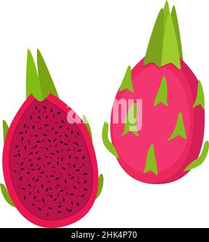 Red dragon fruit, whole fruit and half, vector illustration Stock Vector