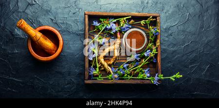 Chicory root and chicory flowers.Wild plant in alternative medicine.Cichorium intybus Stock Photo
