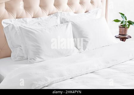 Bedroom with bed, white bedding, and bedside table. White pillows, duvet and duvet case on bed with beige headboard.  Bed with clean white pillows and Stock Photo