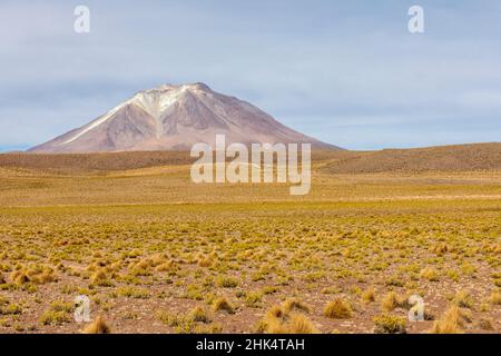 View of the altiplano near Canapa Lake (Laguna Canapa), Potosi Department, southwestern Bolivia, South America Stock Photo