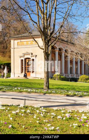 Crocus flowers in front of the pump room in Baden-Baden, Black Forest, Baden-Wurttemberg, Germany, Europe Stock Photo