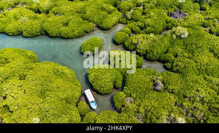 Aerial of the Mangrove forest, Farasan islands, Kingdom of Saudi Arabia, Middle East Stock Photo