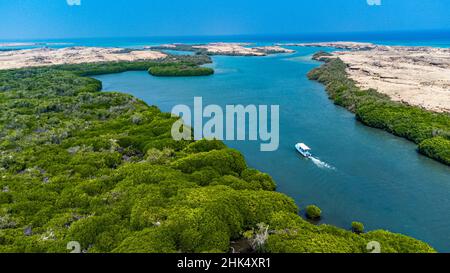 Aerial of the Mangrove forest, Farasan islands, Kingdom of Saudi Arabia, Middle East Stock Photo