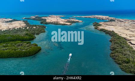 Aerial of the Mangrove forest, Farasan islands, Kingdom of Saudi Arabia, Middle East Stock Photo