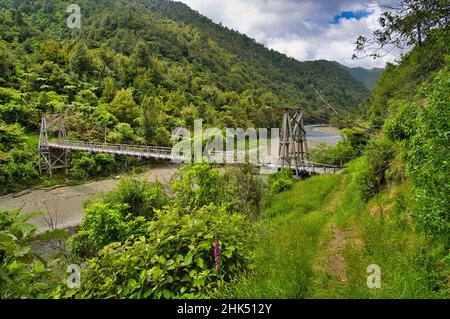 The historic Tauranga Bridge, a suspension bridge spanning the Waioeka River in Waioeka Gorge Scenic Reserve, between Tauranga and Opotiki, New Zealan Stock Photo