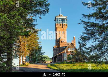 Hornisgrindeturm Tower on Hornisgrinde mountain , Black Forest National Park, Baden-Wurttemberg, Germany, Europe Stock Photo