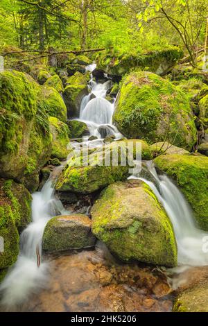 Gaisholl Waterfalls, Sasbachwalden, Black Forest, Baden-Wurttemberg, Germany, Europe Stock Photo