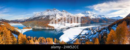 Orange colored larch trees in autumn in the snowcapped mountains nearby lake Champfer and Silvaplana, Engadine, Graubunden, Switzerland, Europe Stock Photo