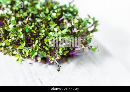Purple kohlrabi cabbage sprouts microgreens on white wooden tabletop texture. Soft focus. concept of diet, vitamin C, carotene, phytoncides Stock Photo