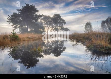 Misty cool Autumn daybreak at Strensall Common Nature Reserve near York, North Yorkshire, England, United Kingdom, Europe Stock Photo