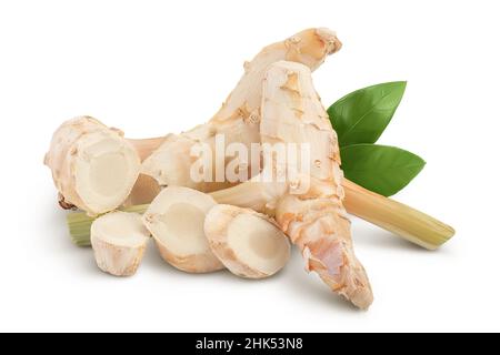 Fresh galangal root with slices isolated on white background with clipping path and full depth of field.