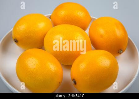 Lemons in round plate on white background Stock Photo