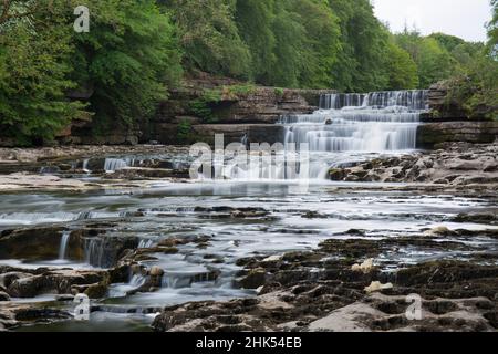 Lower Aysgarth Falls on the River Ure, near Leyburn, Wensleydale, Yorkshire Dales National Park, North Yorkshire, England, United Kingdom, Europe Stock Photo