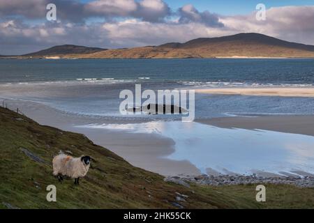 The Island of Taransay viewed across Seilebost Beach, Isle of Harris, Outer Hebrides, Scotland, United Kingdom, Europe Stock Photo