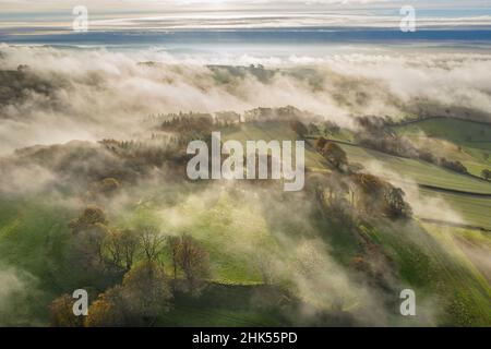 Misty autumn morning above Cadbury Castle Iron Age Hillfort, Cadbury, Devon, England, United Kingdom, Europe Stock Photo