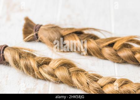 Two braids on a white background, cut for wig donation Stock Photo