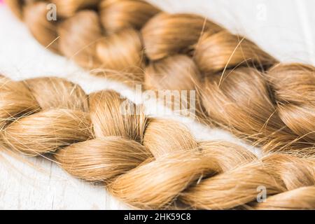 Two braids on a white background, cut for wig donation Stock Photo