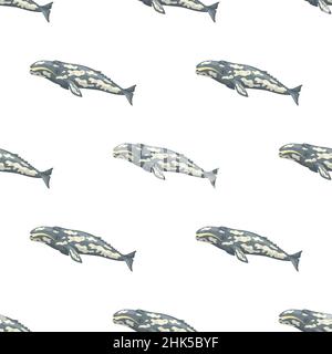 Seamless pattern with gray whale on white background. Template of cartoon character of ocean for fabric.Repeated geometric texture with marine cetacea Stock Vector