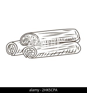 Cinnamon in engraved style isolated on white background. Vintage sketch outline spice close up. Vector illustration design. Stock Vector