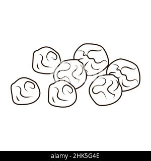 Pepper in engraved style isolated on white background. Vintage sketch outline spice close up. Vector illustration design. Stock Vector