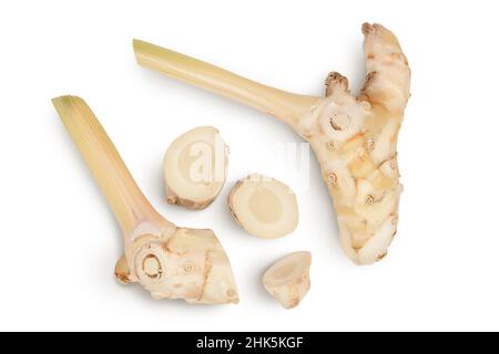 Fresh galangal root with slices isolated on white background with clipping path and full depth of field. Top view. Flat lay
