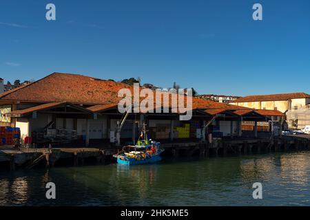 Fishing boats in the harbour of Saint Jean de Luz, Basque Country, Pyrenees Atlantiques, France Stock Photo