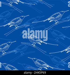 Sunbird vector seamless pattern, bird family Nectariniidae of passerine birds, isolated on blue background Stock Vector