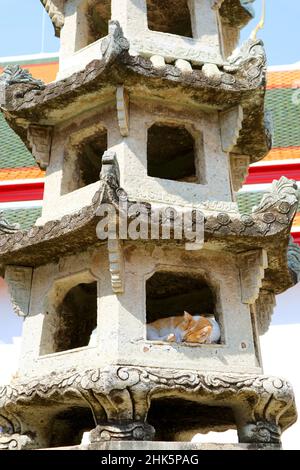 Adorable Cat Napping in a Chinese Pagoda Used as Ballast Stones on Ships Centuries ago, Wat Pho Buddhist Temple, Bangkok Old City, Thailand Stock Photo