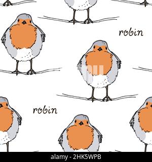 Robin bird hand drawn vector seamless pattern, The European robin colored illustration, isolated on white background Stock Vector
