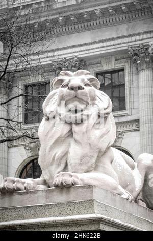 Lion in front of the New York Public Library in a Light Snowfall, 2922, NYC, USA Stock Photo