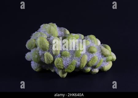 A clump of frozen soy beans on a black background. Stock Photo