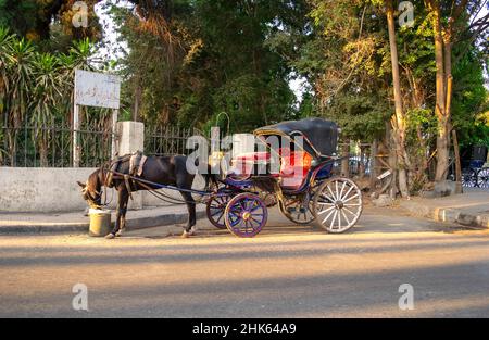 Cairo-Egypt - October 04, 2020: Horse riding next to Cairo Tower during day. Al Zamaler - Omar Al Khayam. Horse feeding, cart for ride. Stock Photo