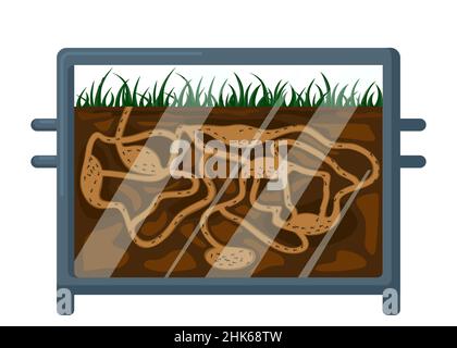 Ant farm isolated on white background. Design element on hobby item formicaria. Ants in tunnels moving into terrarium. Teamwork concept. Vector illust Stock Vector