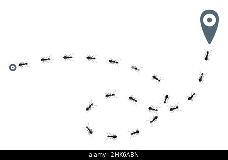 Tracking ants isolated on white background. Column of black ants running in mapping signs . Design flat nature elements. Vector illustration. Stock Vector