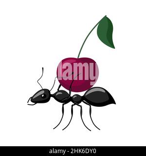 Ant carrying food isolated on white background. Bug carrying cherry and walking to the anthill. Vector illustration. Stock Vector