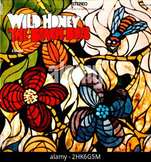 Vintage vinyl record cover - Beach Boys , The - Wild Honey - D 