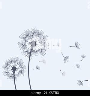 Dandelion blowing and scatter flying seeds, blowball flower silhouette, vector Stock Vector