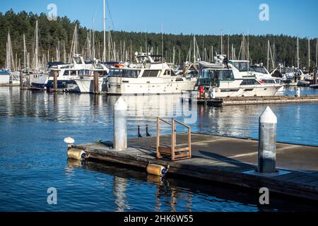 Friday Harbor, WA USA - circa November 2021: View of the beautiful, boat filled harbor on San Juan Island on a bright, sunny day in the fall. Stock Photo