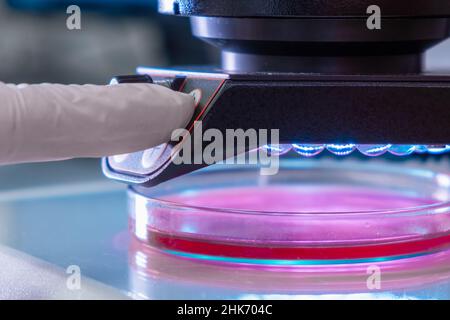 Microscope in a medical research center for analyzing sample. Scientist in rubber gloves testing samples in microchemical laboratory Stock Photo