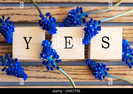 The word Yes written in black letters on wood blocks Stock Photo