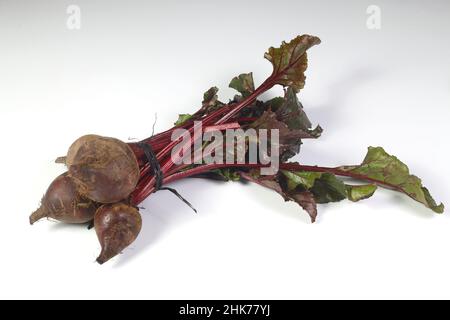 bundle of fresh organic garden beet roots with greens isolated on white background Stock Photo