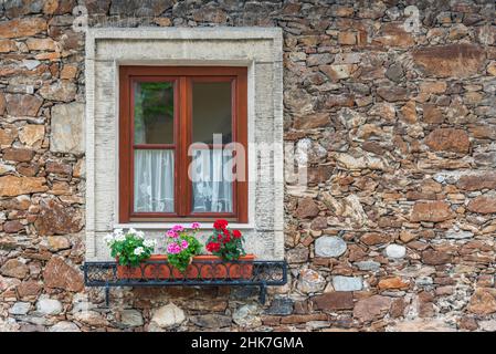 A wooden, brown window and a fragment of a stone wall of the building. Curtains hanging in the window, colorful flowers on the windowsill. Stock Photo