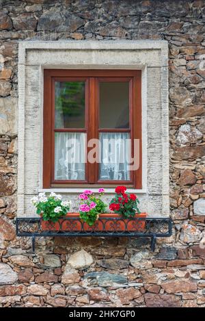 A wooden, brown window and a fragment of a stone wall of the building. Curtains hanging in the window, colorful flowers on the windowsill. Stock Photo