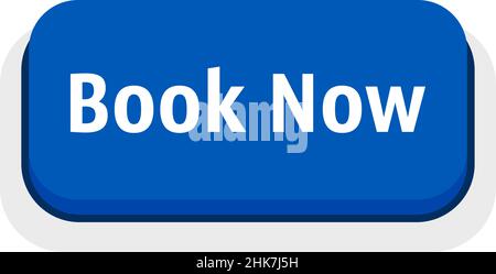 blue simple book now button Stock Vector