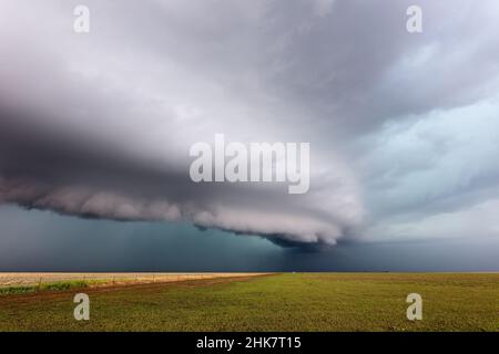 Dramatic shelf cloud (arcus) approaching ahead of a storm over a field near Vega, Texas Stock Photo