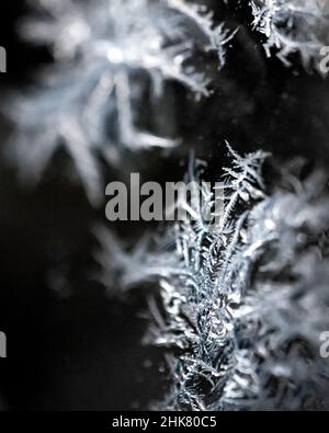 Ice crystals frost - frozen water forms filigree patterns in winter ice flakes - freezing crystal - cold weather structure Stock Photo