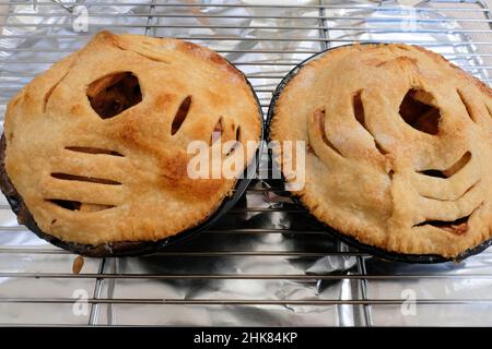 Two homemade apple pies in mini pie pans on a cooling rack over tin foil; home cooking and baking. Stock Photo
