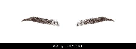 Sable style eyebrows. Permanent make-up and lamination. Brow studio logo. Linear vector Illustration in trendy minimalist style Stock Vector